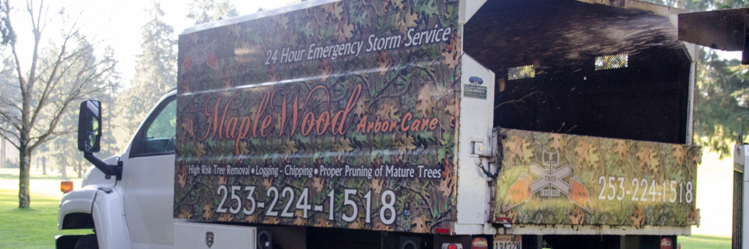 The Best Tree Service in Tacoma Period