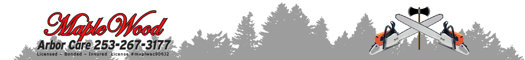 Maple Wood Arbor Care