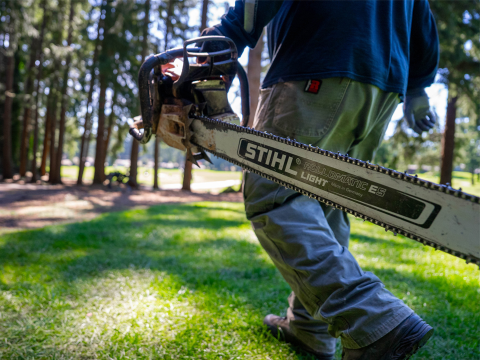 The Best Tree Service in Tacoma Period
