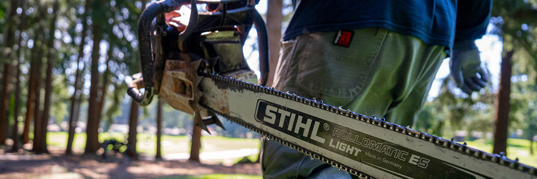 The Best Tree Service in Tacoma Period